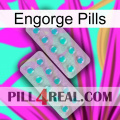 Engorge Pills 29